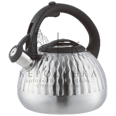 Чайник со свистком Zeidan Z-4518
