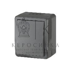 Выключатель ЭРА 11-1401-03 IP54, 10АХ-250В, ОУ, Эксперт, серый (16/160/2560)