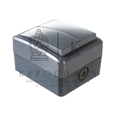 Выключатель двойной ЭРА IP54, 10АХ-250В, 11-1404-03, ОУ, Эксперт, серый (16/160/2560)