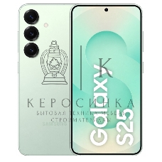Смартфон Samsung Galaxy S25 SM-S931B 12/512Gb мятный