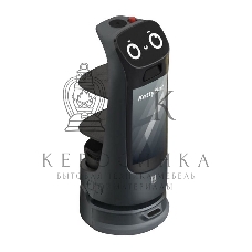 Сервисный робот-доставщик PuduRobotics модели KettyBot Pro (черный)