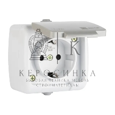 Розетка EKF Мурманск EFR16-029-30-54 1-местная 16А с заземлением с крышкой IP54 серый с защитными шторками