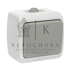 Выключатель EKF Мурманск EFV10-021-30-54 1 -клавишный 10А IP54 серый