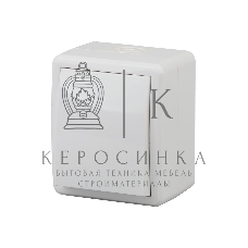 Выключатель 1-кл. ОП ЭРА Эксперт 10А IP54 11-1401-01 250 В 10AX бел.