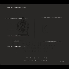 Индукционная варочная панель Darina 6Р9 ЕI 304 B, черный