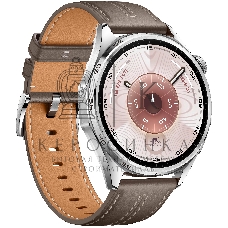 Умные часы Huawei GT 6 ATM-B19 55020FWE серый