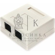 Розетка Cablexpert NA218 RJ-45 кат.6 внешняя 2 порта, 110&Krone