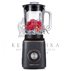 Блендер Zigmund & Shtain BS-442 D