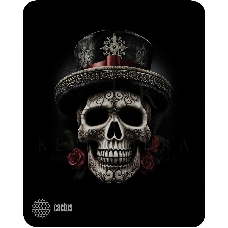 Коврик для мыши Cactus Scull 250x200x3мм (CS-MP-D05S)