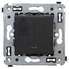 Инвертор одноклавишный DKC Avanti 4412123 