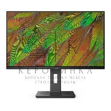 Монитор 31.5