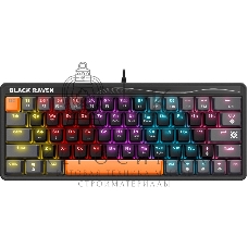 Клавиатура проводная Defender Black Raven GK-417, USB, черный
