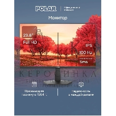 Монитор POLAR P24F12M