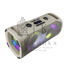 Акустическая колонка ELTRONIC (30-85) DANCE BOX 900 - колонка 06