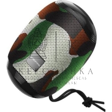 Портативная колонка BOROFONE (6931474723949) BR6 камуфляж