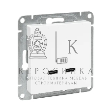 Розетка 2-м СП Эпика USB-C механизм бел. EKF UP1-SOW-2USBC