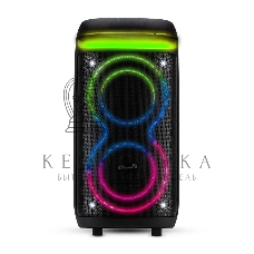 Колонка Eltronic 08