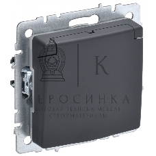 Розетка 1-местная IEK BRITE РСбш10-3-БрГ с заземлением, с защитными шторками и крышкой, 16А IP20, графит
