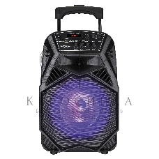 Аудиосистема NATIONAL NSM-V100