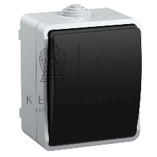 Выключатель 1-кл. ОП ФОРС 10А 250В IP54 ВС20-1-0-ФСр IEK EVS10-K03-10-54-DC