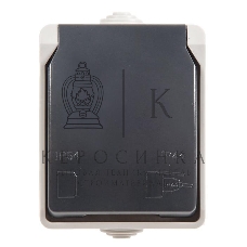 Розетка ИЭК Форс РСб20-3-ФСр1м с/з открытой установки