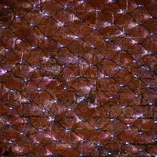 Гирлянда Neon-night Сеть 