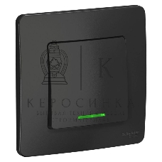 Выключатель 1-кл. СП Blanca (сх.1) 10А 250 В с подсветкой антрацит SchE BLNVS010116