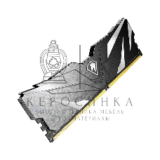 Оперативная память NETAC, DDR4, 16GB (1x16GB), 2666MHz, CL19, DIMM, с радиатором, черный