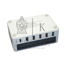 Профессиональное зарядное устройство 818PF для 5-ти телефонов с индикацией потребления + Type C PD