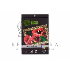 Холст Cactus CS-CA426010 A4/260г/м2/10л. для струйной печати