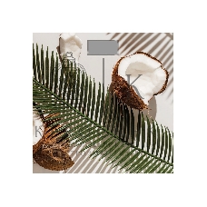 Весы Добрыня DO - 3006H (180кг) электр.(кокос)