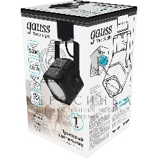 Светильник Gauss TR009 черный