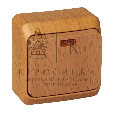 Выключатель 1-кл. ОП Этюд Дача 10А IP20 с индик. бук SchE BA10-005T