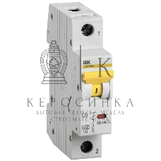 Выключатель автоматический однополюсный ВА47-60M 6А C 6кА MVA31-1-006-C IEK