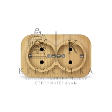 Розетка 2-м ОП 16А IP20 с заземл. сосна IONICH 1439