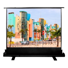 Экран Cactus 120x160 см FloorExpert CS-PSFLE-160X120 4:3 напольный рулонный