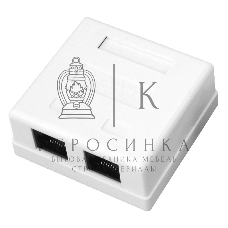 Розетка компьютерная Rexant 2-м ОП RJ45 CAT.5E бел.