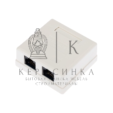 Рoзетка компьютерная внешняя Rexant 2-порта RJ-45 (8P8C), UTP неэкранированная, категория 6