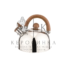 Чайник для плиты Добрыня DO-2910 (2,5 л)