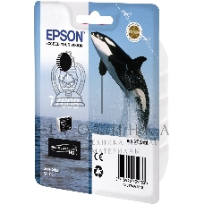 Картридж струйный Epson C13T76084010/C13T76084N10 черный матовый (25.9 мл) для SC-P600
