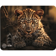 Коврик для мыши Cactus Leopard 250x200x3мм (CS-MP-D06S)