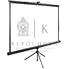 Экран Cactus 220x220 см TriExpert CS-PSTE-220х220-BK 1:1 напольный рулонный