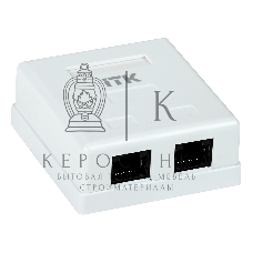 Настенная информационная розетка RJ45 8P8C, кат.5Е UTP, 2-порта, белая 