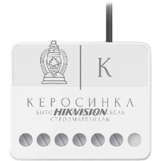 Модуль Hikvision DS-PM1-O1L-WE