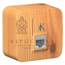 Розетка компьютерная 1-м ОП Blanca RJ45 кат.5e изол. пласт. ясень SchE BLNIA045005