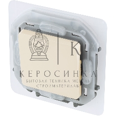 Переключатель IP44 10AX 250 В слоновая кость