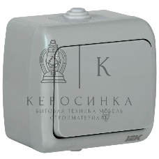 Выключатель проходной 1-кл. 1п ОП Aquatic 10А IP54 ВС-20-1-2-А сер. IEK EVA12-K03-10-54