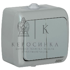 Выключатель 2-кл. 1п ОП Aquatic 10А IP54 ВС-20-2-0-А сер. IEK EVA20-K03-10-54