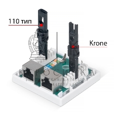 Розетка в сборе Cabeus, 2x RJ45(8P8C), кат. 5е, экр., внешняя, белый, (WS-8P8C-Cat.5e-SH-2)